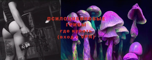 прущие грибы Алзамай