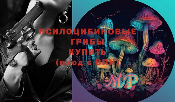 прущие грибы Алзамай