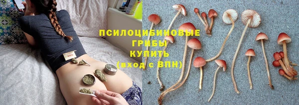 амфетамин Алексеевка