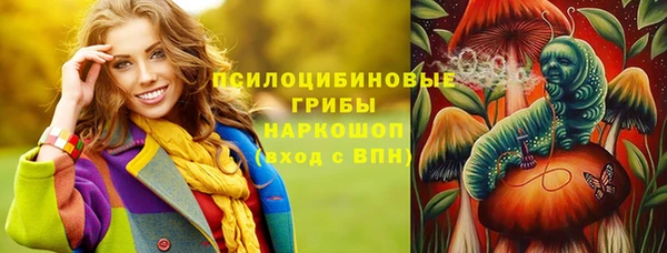 прущие грибы Алзамай
